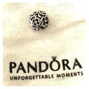 Pandora charm